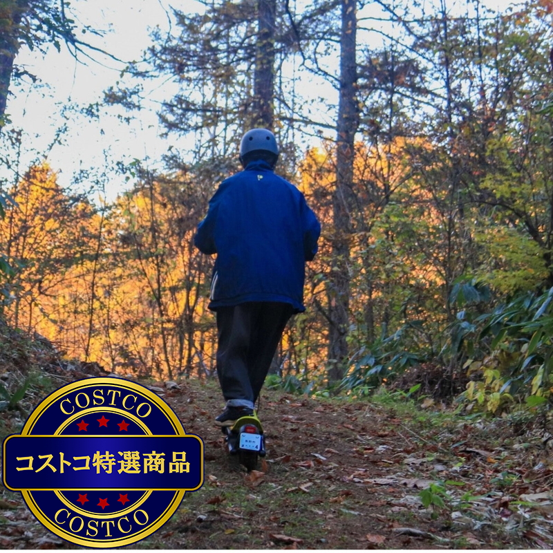 (コストコ) 電動キックボード MTM RISE M-1S - 画像 (3)