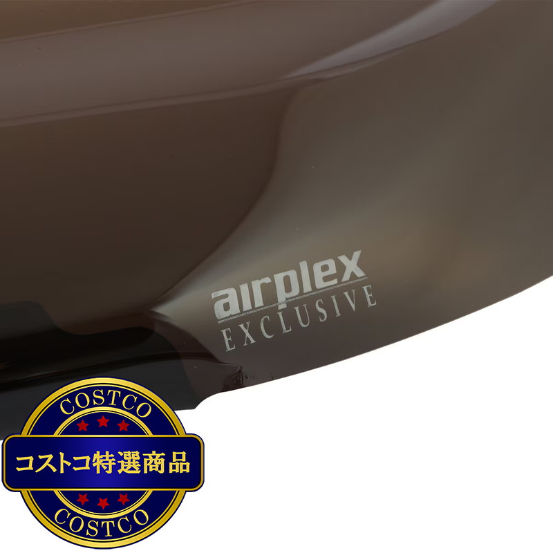 (コストコ) airplex 三菱 デリカ D:5 バグガード - 画像 (2)