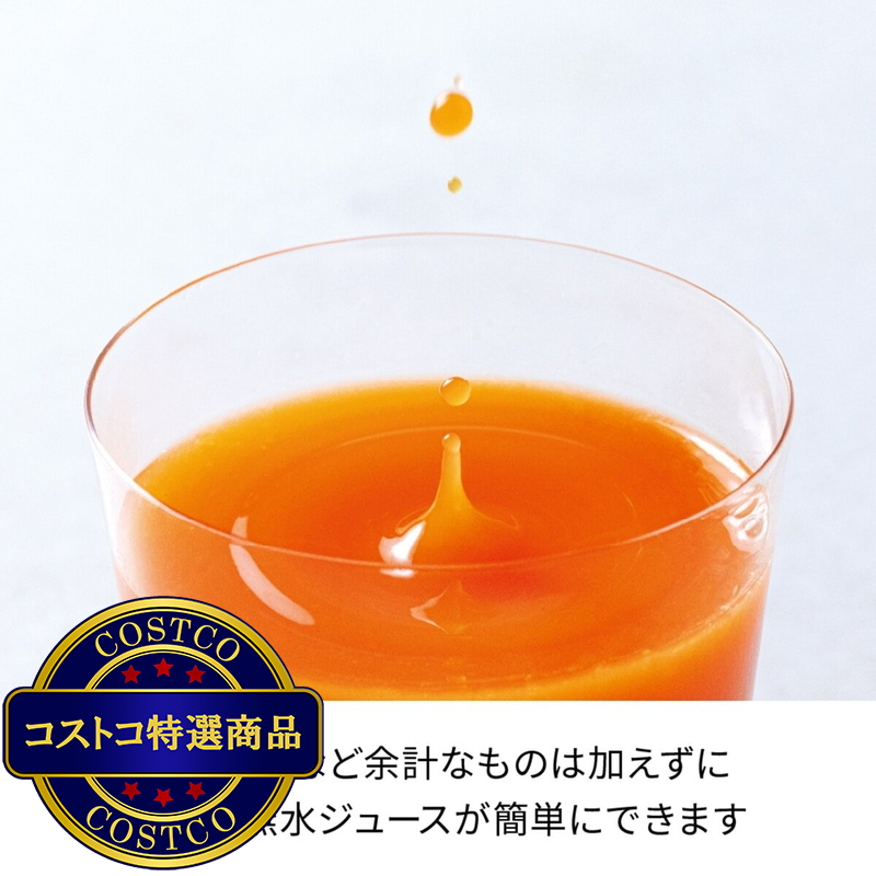 レコルト コールドプレスジューサー ミニ RCJ-1 - 画像 (4)