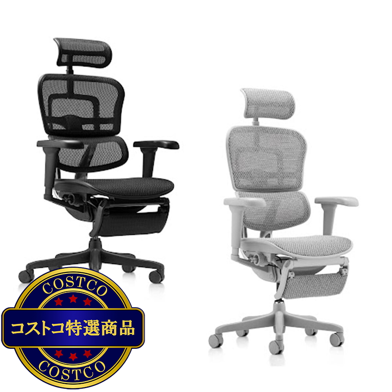 エルゴヒューマン オフィスチェア