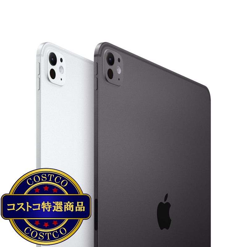 Apple iPad Pro 11インチ M5 WiFi 1TB 標準ガラス搭載