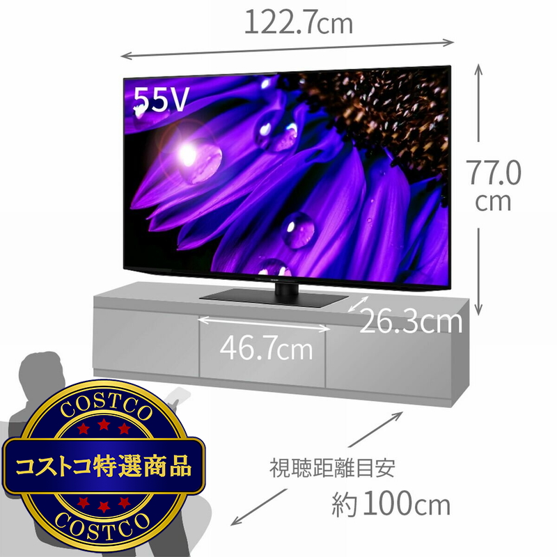 (コストコ) シャープ アクオス 55インチ 4K有機ELテレビ 4T-C55EQ1 - 画像 (2)