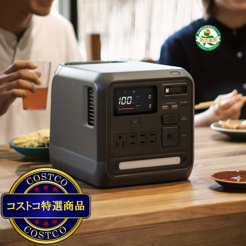 (コストコ) DJI Power ポータブル電源 1000 Mini Plus 1008Wh - 画像 (4)