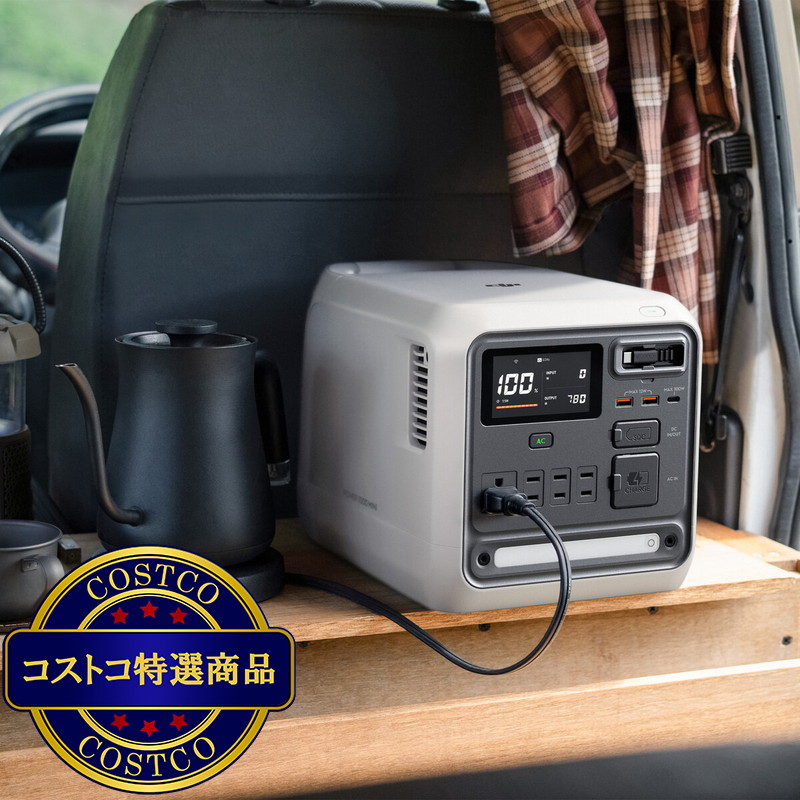 (コストコ) DJI Power ポータブル電源 1000 Mini ホワイト 1008Wh - 画像 (4)