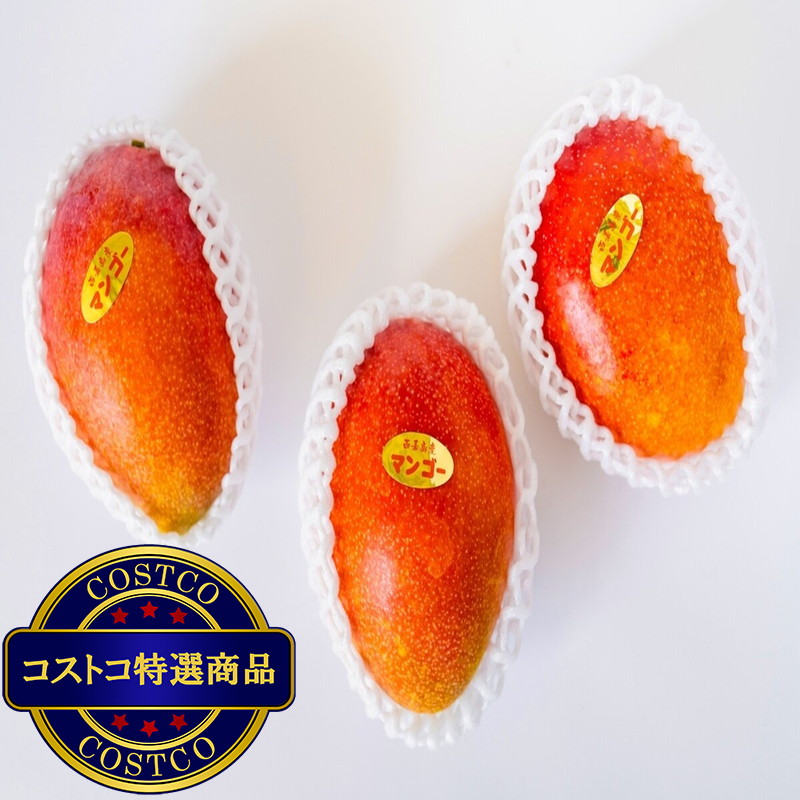 (コストコ) アップルマンゴー 900g - 画像 (2)