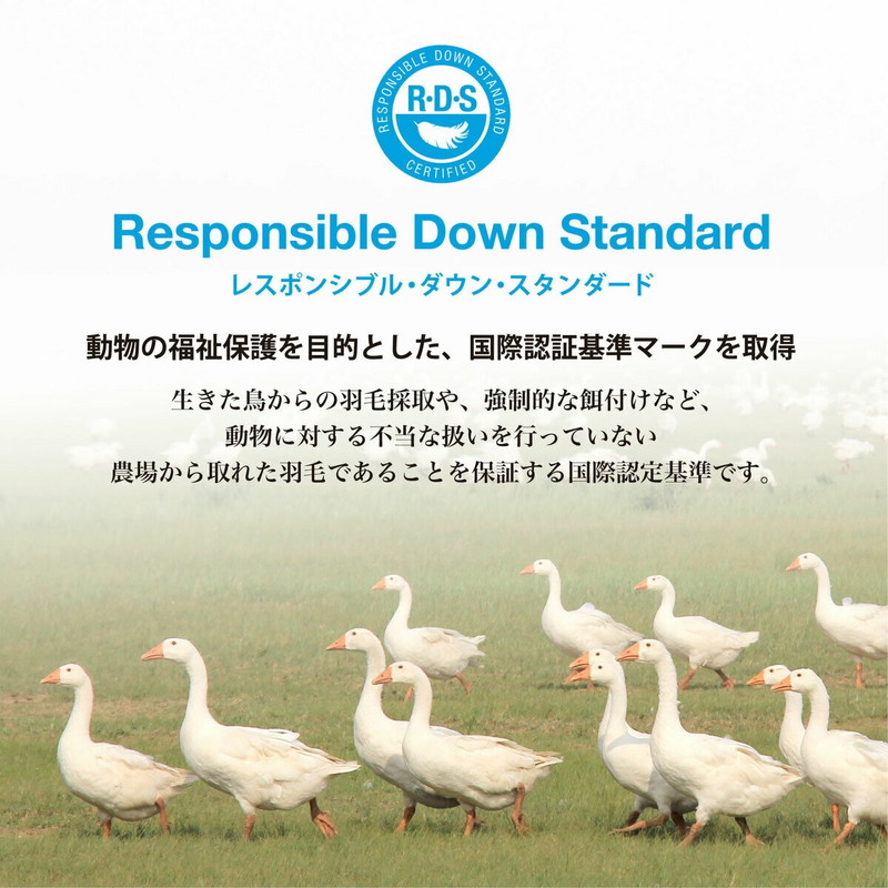 (コストコ) 羽毛合い掛け布団 ナチュラルダックダウン85% ダブル - 画像 (4)
