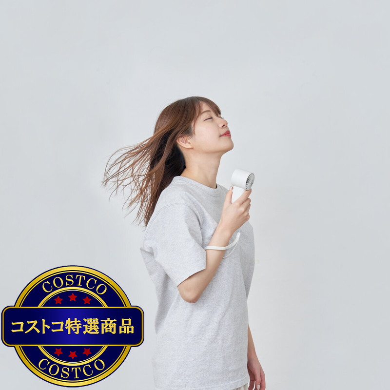 (コストコ) ライフオンプロダクツ ターボハンディファン 3個セット - 画像 (2)