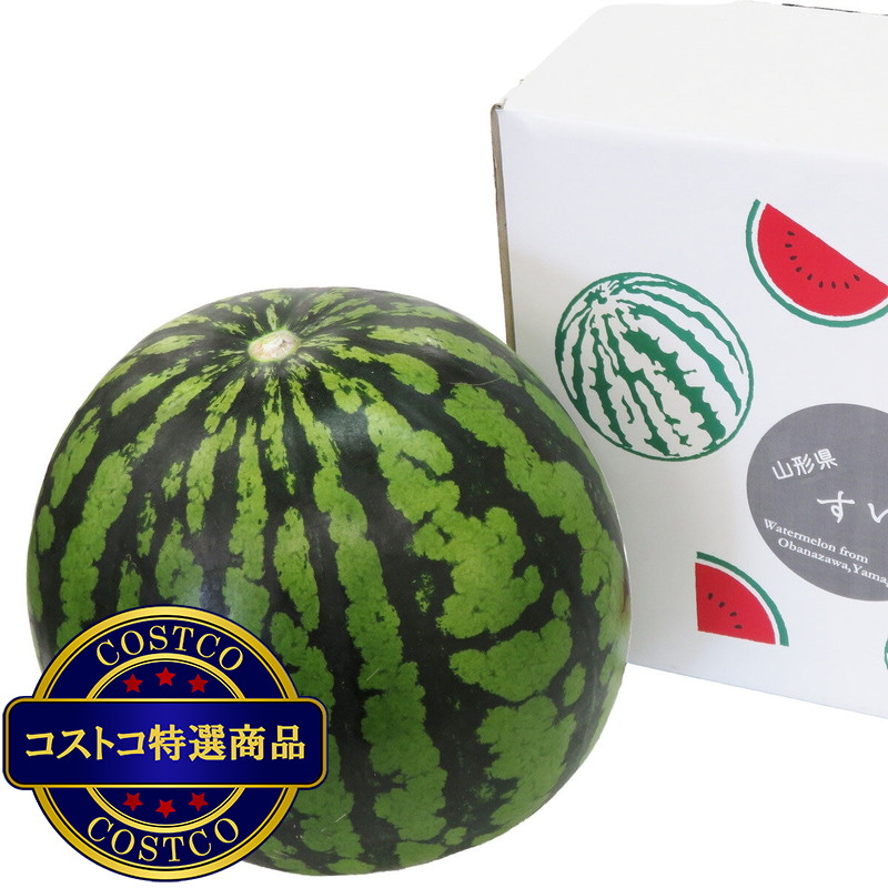 (コストコ) 【7月下旬から順次発送予定】山形県産 大玉すいか 3L