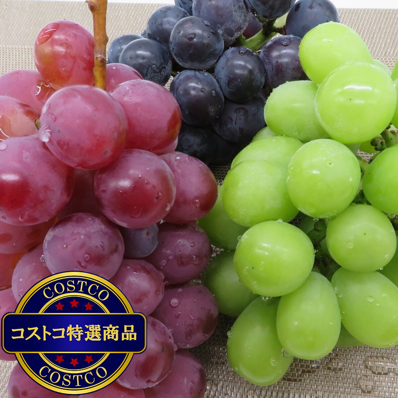 (コストコ) 【9月上旬から順次発送予定】山形県産 ぶどう3種 - 画像 (2)