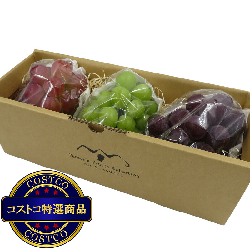 (コストコ) 【9月上旬から順次発送予定】山形県産 ぶどう3種