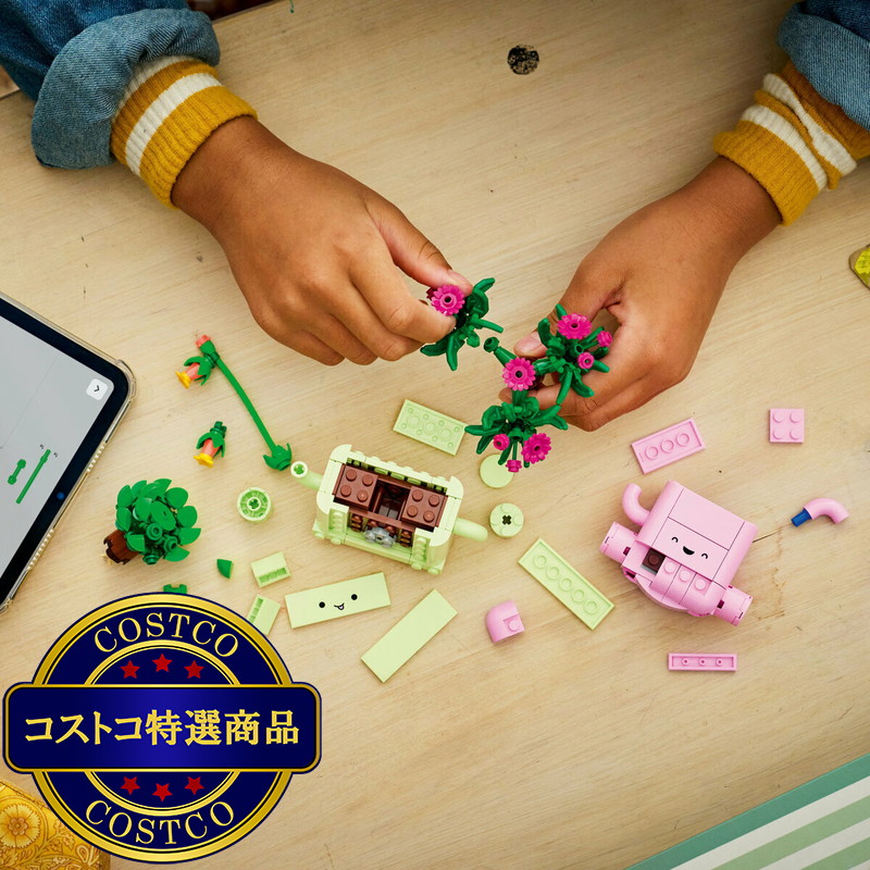(コストコ) レゴ ロッキングプランツ - 画像 (3)