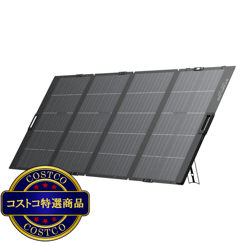 (コストコ) Ecoflow(エコフロー)400W 軽量両面ソーラーパネル - 画像 (2)