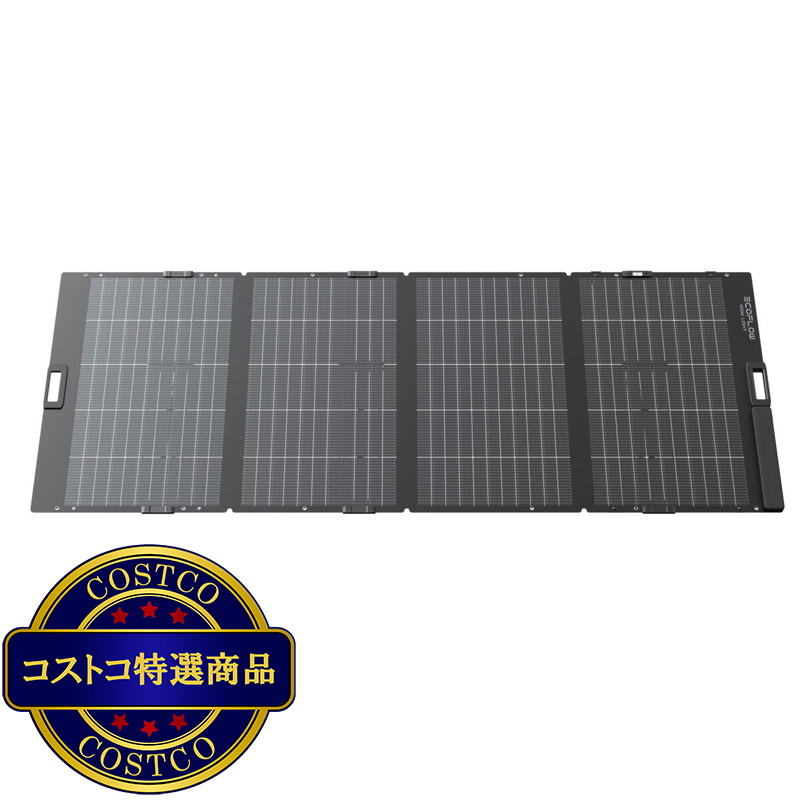 (コストコ) Ecoflow（エコフロー）400W 軽量両面ソーラーパネル