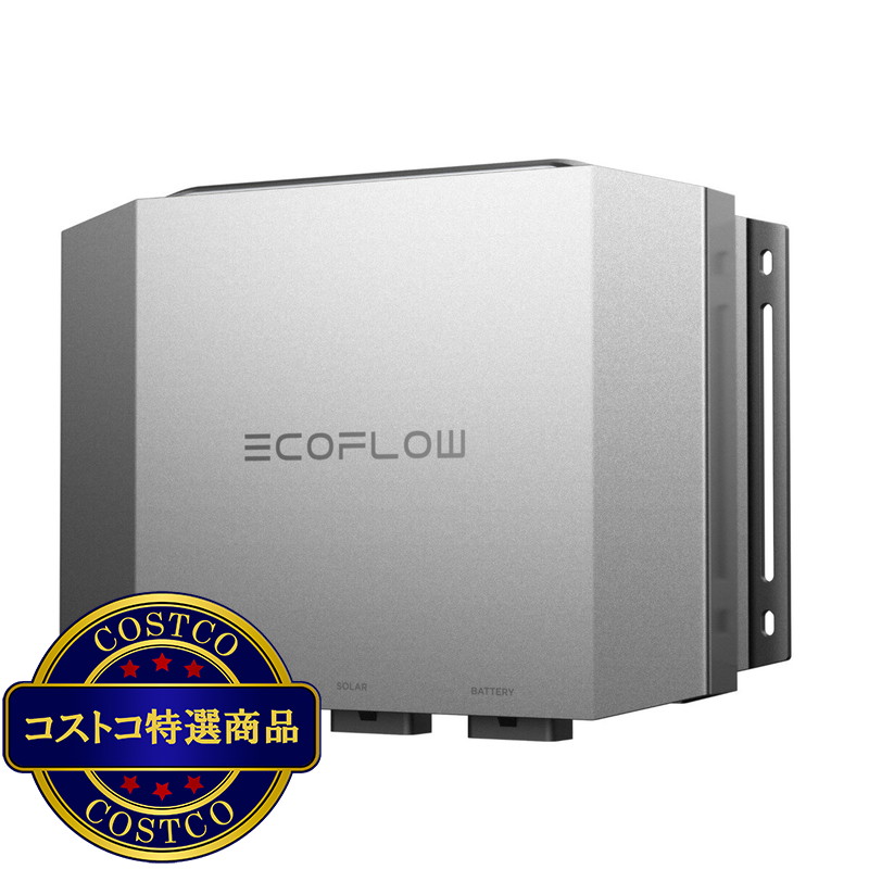 (コストコ) EcoFlow オルタネーターチャージャー プラス 1000 - 画像 (2)