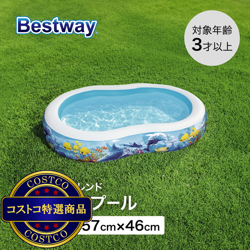 (コストコ) BESTWAY 54118 フィッシュ&フレンド ファミリー プール - 画像 (2)