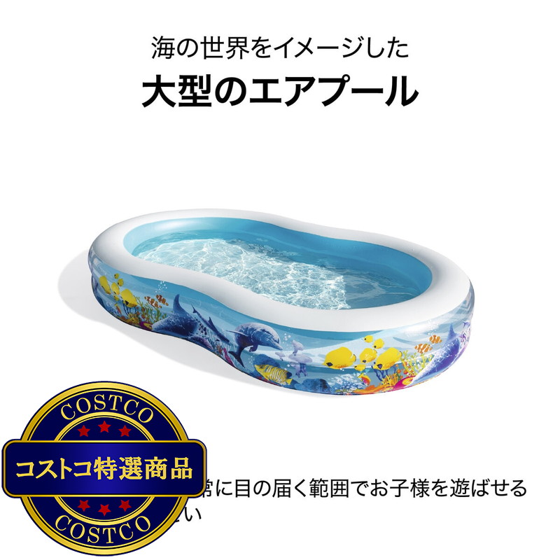 (コストコ) BESTWAY 54118 フィッシュ&フレンド ファミリー プール - 画像 (3)