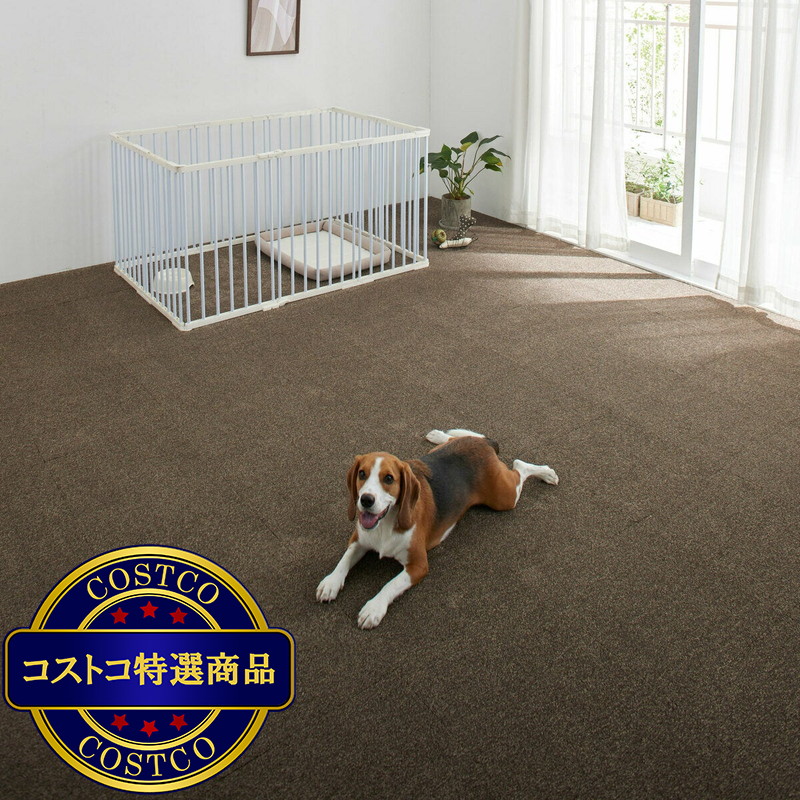 (コストコ)タイルカーペット ソフトフィール 40 x 40cm 10枚入り ブラウン - 画像 (4)